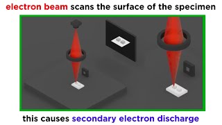 Electron Microscopy TEM and SEM [upl. by Inaliel]