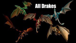 How To Get All Drake Mounts In WoW [upl. by Cyrill639]