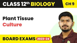 Plant Tissue Culture  Strategies for Enhancement in Food Production  Class 12 Biology 202223 [upl. by Maya]