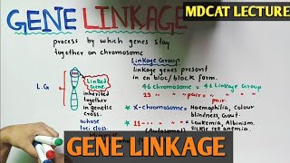 Gene Linkage  Recombination  NMDCAT 2021 [upl. by Acceber206]