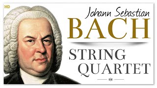 Bach String Quartet  The Art Of Fugue  Baroque Chamber Classical Music [upl. by Yasmine]