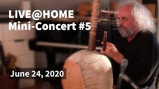 Andreas Vollenweider  LIVEHOME  Mini Concert 5  24062020 [upl. by Dinesh54]