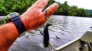 How To Remove A Fish Hook Quick and Easy [upl. by Also]