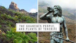 The Guanches People and Native Plants of Tenerife Canary Islands History Medicinal plants [upl. by Lilias]