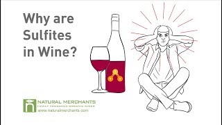 Why are Sulfites in Wine [upl. by Kolb279]