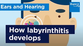 How labyrinthitis develops  Bupa Health [upl. by Selle]