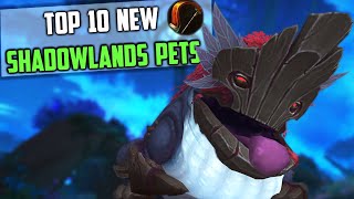 Top 10 New Hunter Pets Tamable in Shadowlands Zones WoW [upl. by Aubrey]