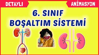 BOŞALTIM SİSTEMİ 6 SINIF FEN BİLİMLERİ [upl. by Addia413]