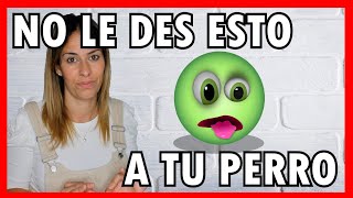 PIENSOS PARA PERROS 🐶  Las 5 PEORES 👎 marcas que EXISTEN 🤢 [upl. by Rossi]