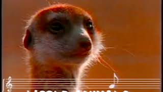 The World Animals Song Official Video With Lyrics [upl. by Idnerb733]