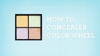 How to Use a Color Correction Concealer Palette  LovelySkin [upl. by Adraynek190]