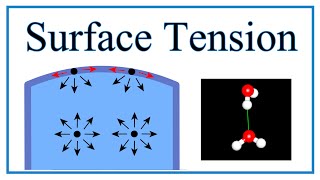 Surface Tension of Water Explained [upl. by Erastes]