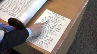 Torah Aliyah Blessings [upl. by Church36]