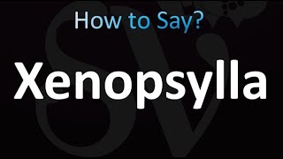 How to Pronounce Xenopsylla correctly [upl. by Sessilu]