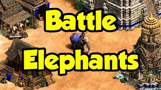 Battle Elephants 🐘 AoE2 [upl. by Lucilia520]