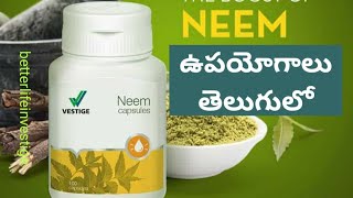 Vestige Neem capsules Benefits ampUsage in Telugu  Diabetes treatment [upl. by Akcirderf]