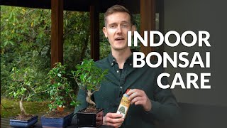 Indoor Bonsai care [upl. by Yrrum]