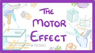 GCSE Physics  Motor Effect [upl. by Sikko]