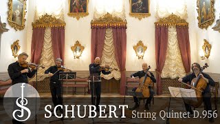 Schubert  String Quintet in C major op post 163 D956  Quartetto di Cremona amp Eckart Runge [upl. by Maryann]