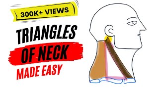 Triangles of neck made easy [upl. by Lauder]