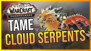 WoW Hunter Cloud Serpent Pet Taming Guide  Shadowlands PTR  Beta  LazyBeast [upl. by Tonie]