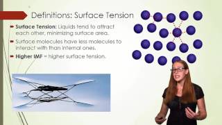 Surface Tension Viscosity and Capillary Action [upl. by Weinreb]