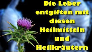 Die Leber entgiften mit diesen Heilmitteln und Heilkräutern [upl. by Ier470]