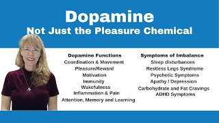 Demystifying Neurotransmitters Serotonin Dopamine and Beyond [upl. by Porche978]