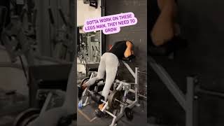 Sepanta Aryas INCREDIBLE legs workout [upl. by Najed]