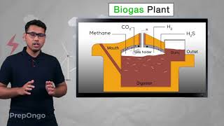 BioMass Energy [upl. by Pepin]