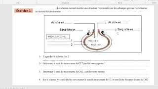 Préparation contrôle 2 3AC  La respiration chez lHomme [upl. by Ranchod203]