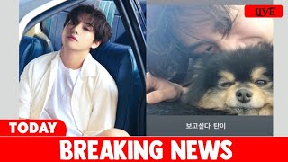 TODAY UPDATE BTS V’s Heartwarming Reunion with Yeontan ‘I Miss You Tannie [upl. by Gothard]