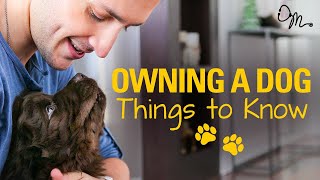 OWNING A DOG  Things to Know Before Getting a Puppy  Doctor Mike [upl. by Nered]