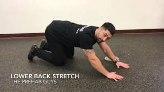 Childs pose low back stretch [upl. by Narual]