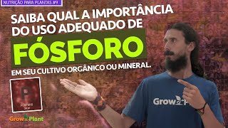 Fósforo para Plantas  Nutrição para Plantas 9 [upl. by Gladine]