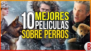 TOP 10 MEJORES PELÍCULAS DE PERROS  Películas Que Te Harán Llorar [upl. by Leroi]