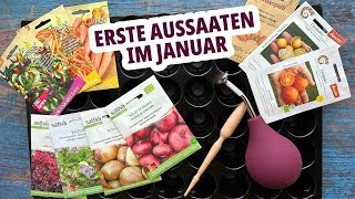 Was kann man im Januar säen Tipps und Tricks für die frühe Anzucht [upl. by Yecnay]