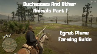 RDR2  Duchesses And Other Animals Part 1  Egret Plume Guide [upl. by Alleon]