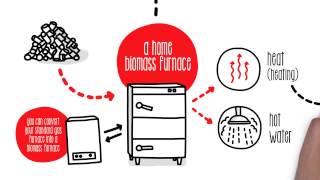 How does biomass work  Sustainability [upl. by Derrej]