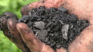 Biochar Workshop Part 1 How to Make Biochar [upl. by Faruq]