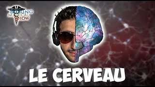 ANATOMIE  LE CERVEAU 🧠 [upl. by Obellia445]