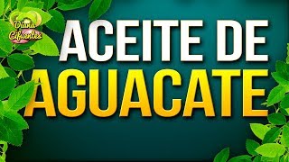 Para Que Sirve El Aceite De Aguacate  Propiedades Beneficios Y Contraindicaciones Del Aguacate [upl. by Glynis]