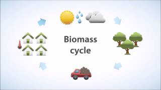 What is Biomass [upl. by Melac819]