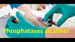 Phosphatases alcalines [upl. by Atinaj]