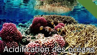 Acidification des océans MaP19 [upl. by Rana146]