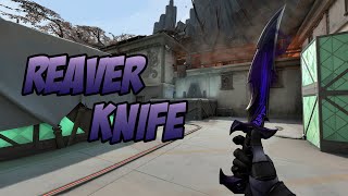 REAVER KNIFE SKIN SHOWCASE REAVER DAGGER  VALORANT REAVER SKINS [upl. by Yarvis]