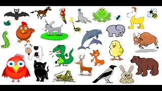 Animal Sounds  over 50 animals noises [upl. by Friedly]