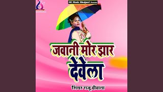 Jawani Mor Jhar Dewela [upl. by Mercuri855]