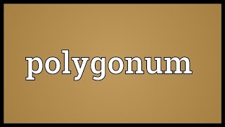 Polygonum Meaning [upl. by Ahtekal640]