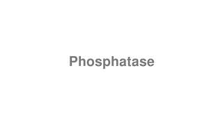 How to Pronounce quotPhosphatasequot [upl. by Airad]